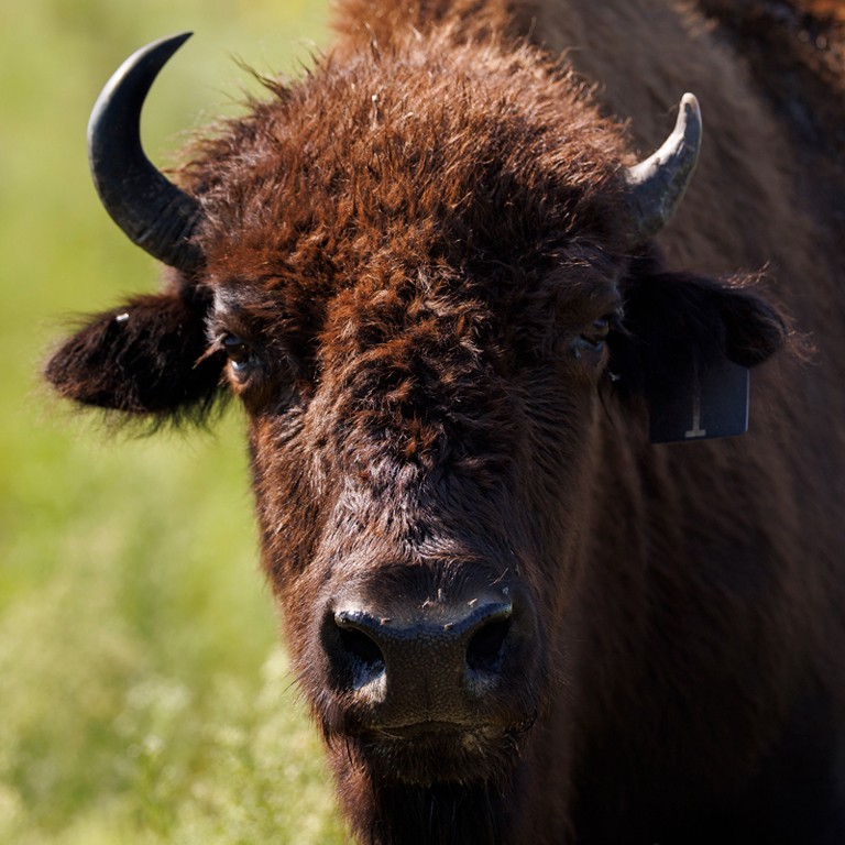 NAPA Fellows: Brad Heim, Yu-Che Chen, Stephanie Moulton, and Julia Carbon